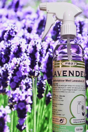 P827 LAVENDEL            1L